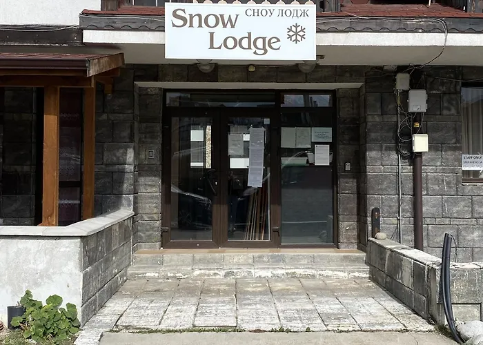 Snow Lodge Mountain View